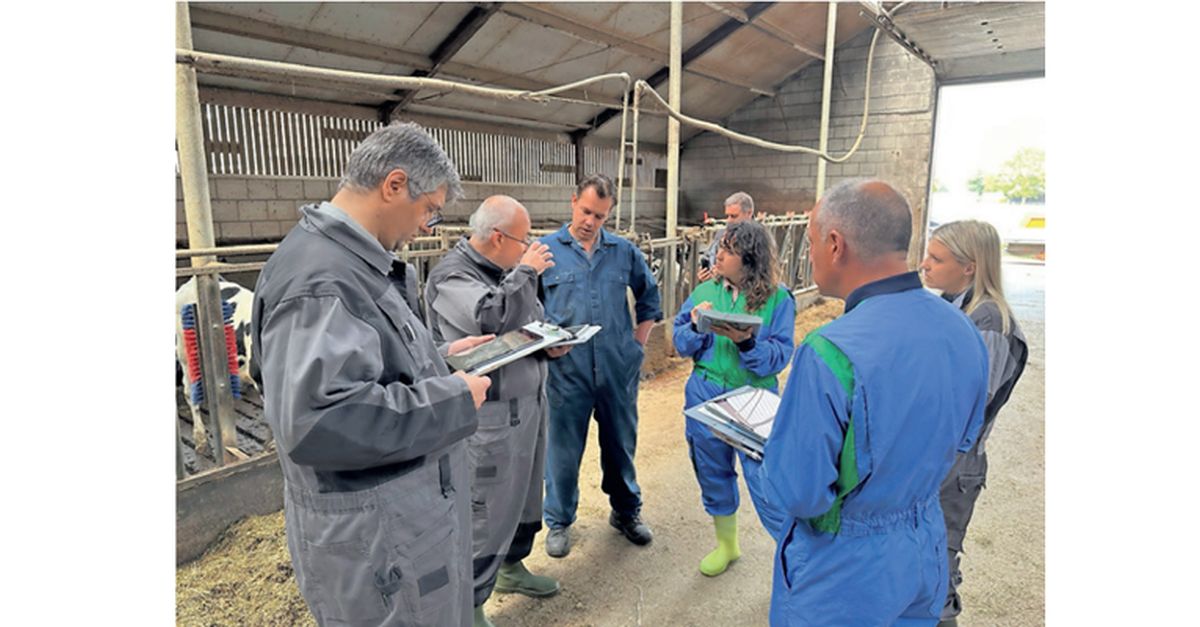 A New Digital Platform To Strengthen Biosecurity In Calf Rearing ...